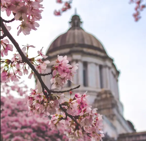 官公庁への手続を確認～漏れがちな官公庁への手続きをガイド！移転を視野に入れている企業はぜひチェック